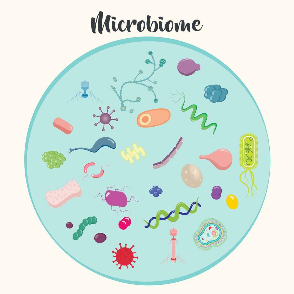 Microbiome