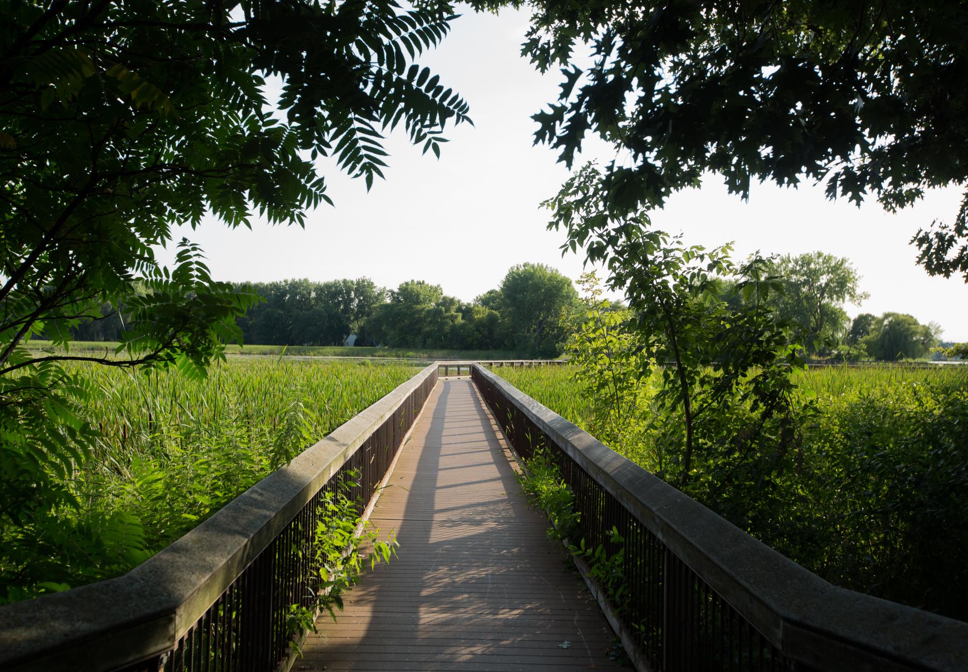 Best Running Trails in Minnetonka, MN