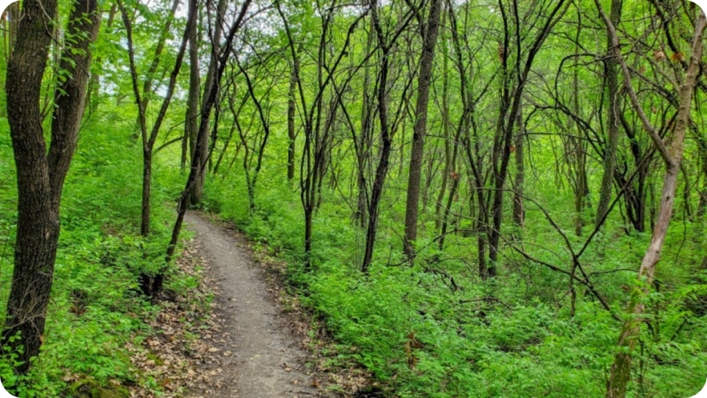 Purgatory Park Running Trail, Eden Prairie, MN